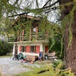 Luxury villa on Palm Jumeirah with lush gardens and pool